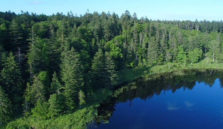 Điều lệ môi trường